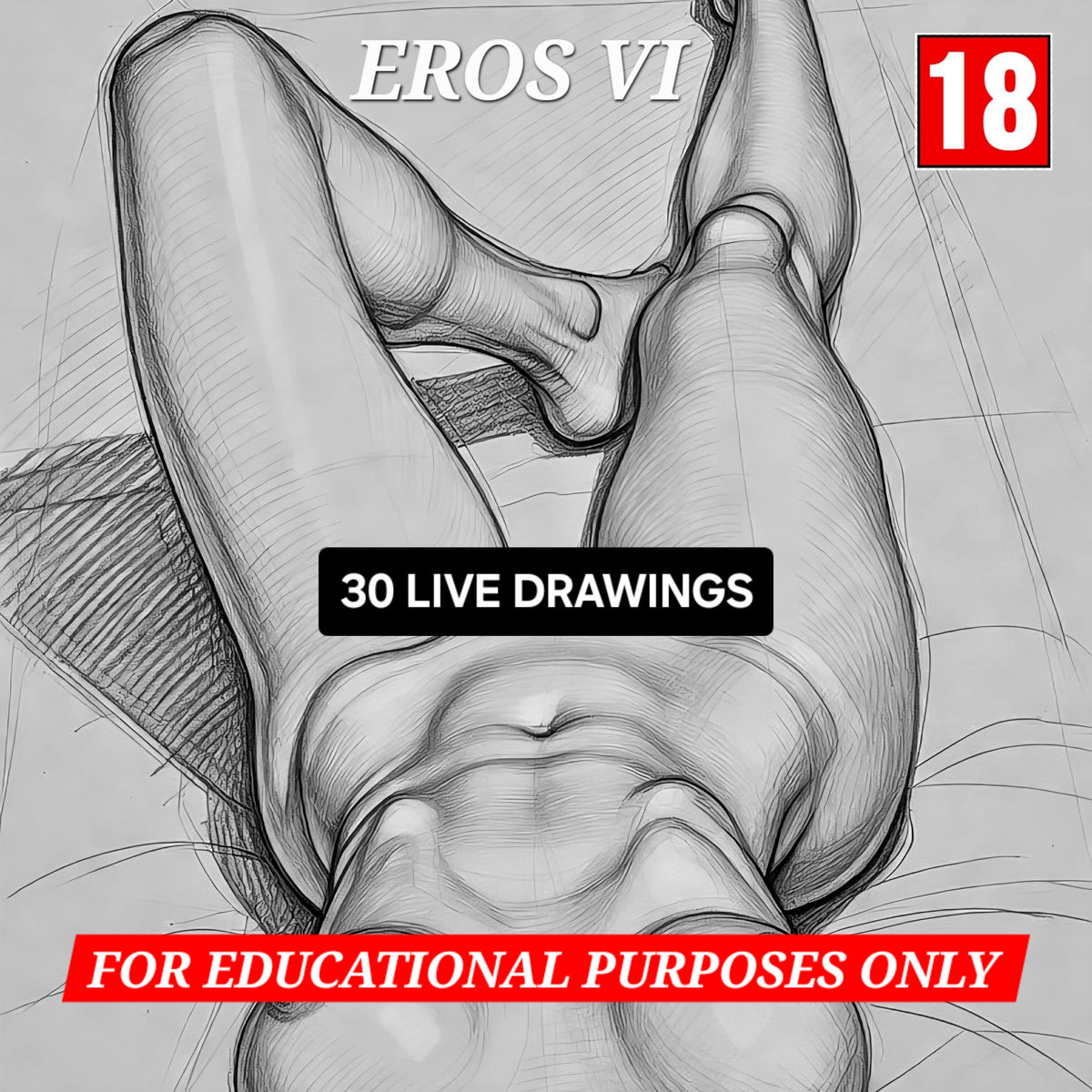EROS VI Life Drawing Female Anatomy Sketches, Figurative Line Art Bundle (Digital Download)